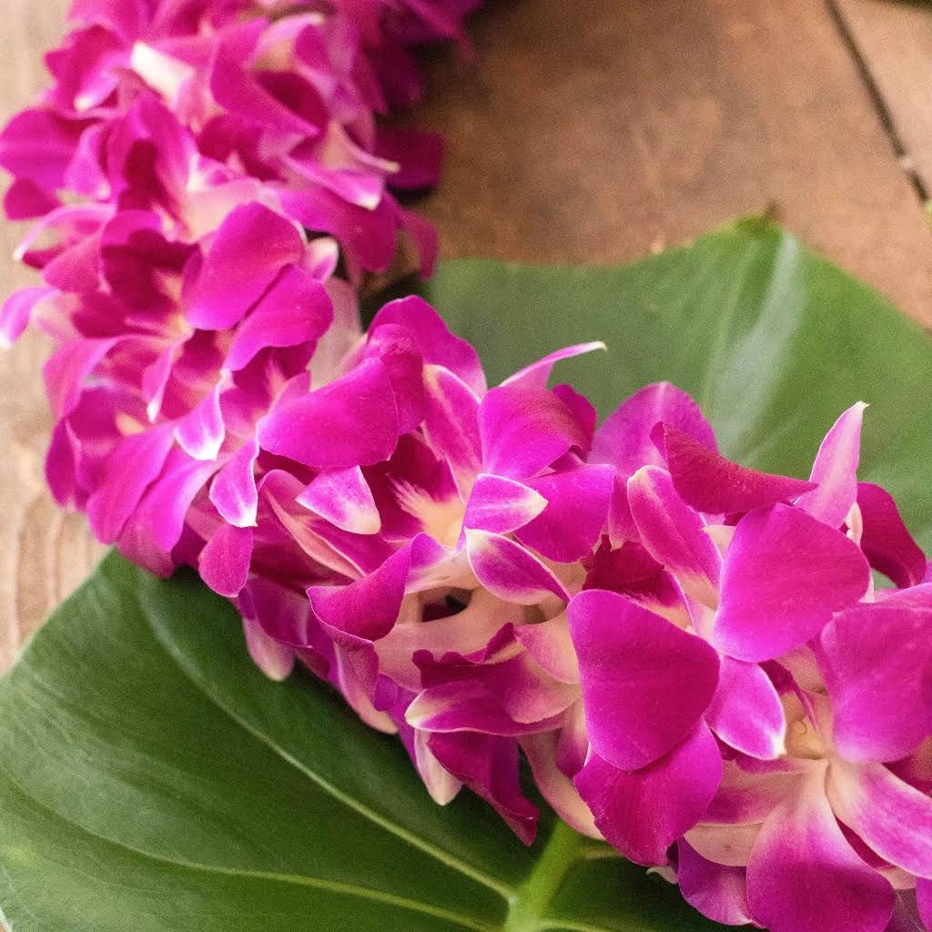 4 Flower Graduation Lei - #01 — S & V Collections